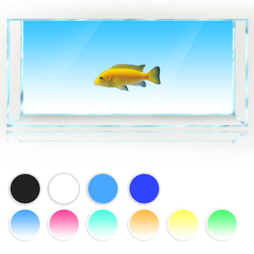 Aquarium Fish Yellow And Black - ถังปลาพื้นหลังสีขาวสีเหลืองสีเขียวสีฟ้าสีดําGradient Simpleการพิมพ์วอลล์เปเปอร์Aquariumฉากหลังตกแต่งPVC