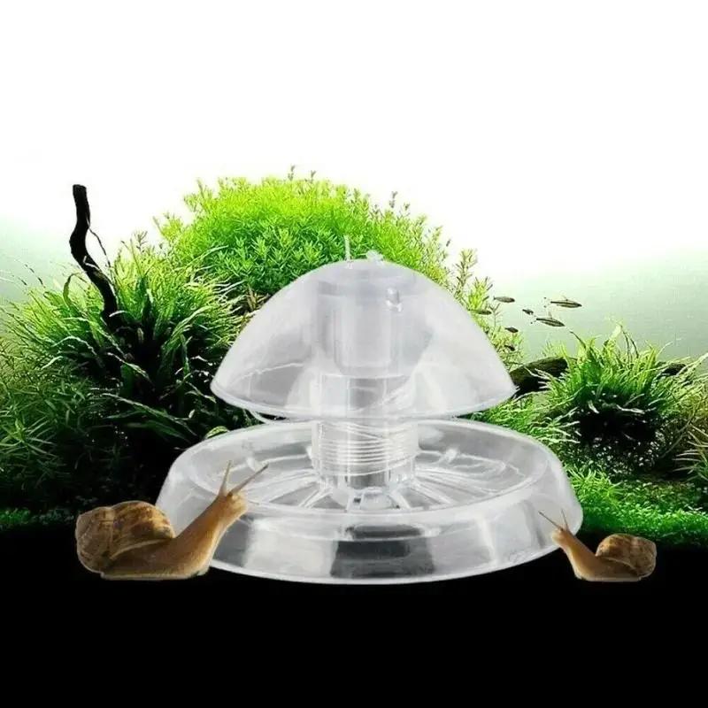 Aquarium Fish Real - กับดักหอยทากพลาสติกใสขนาด 6/8 ซม. รุ่นใหม่ ปี 2026