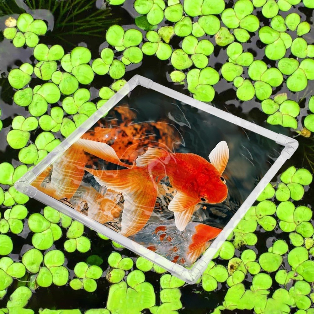 Aquarium Fish Zone - กระถางปลูกพืชน้ำแบบลอยน้ำสำหรับตู้ปลาอะคริลิกและบ่อปลาภายนอก เพื่อเก็บรักษาพืชน้ำแบบลอยน้ำและสร้างพื้นที่ให้อาหาร