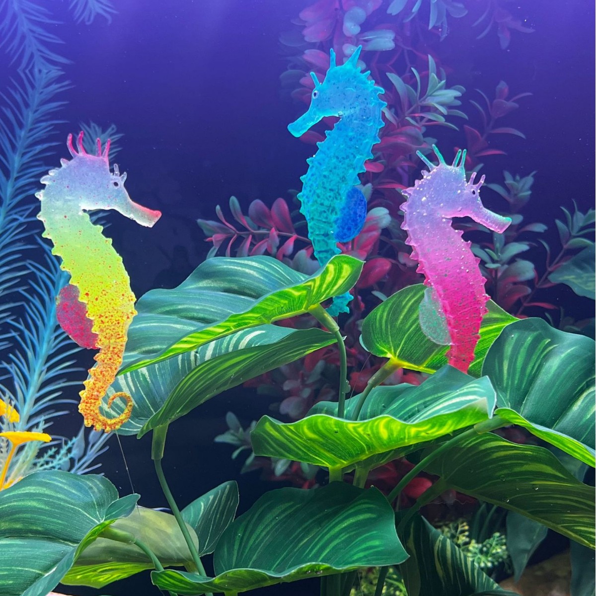 Aquarium Fish Artificial - ของตกแต่งตู้ปลาจำลองรูปม้าน้ำเรืองแสง, ของตกแต่งปลาปลอม, ของตกแต่งพื้นทะเลในตู้ปลา