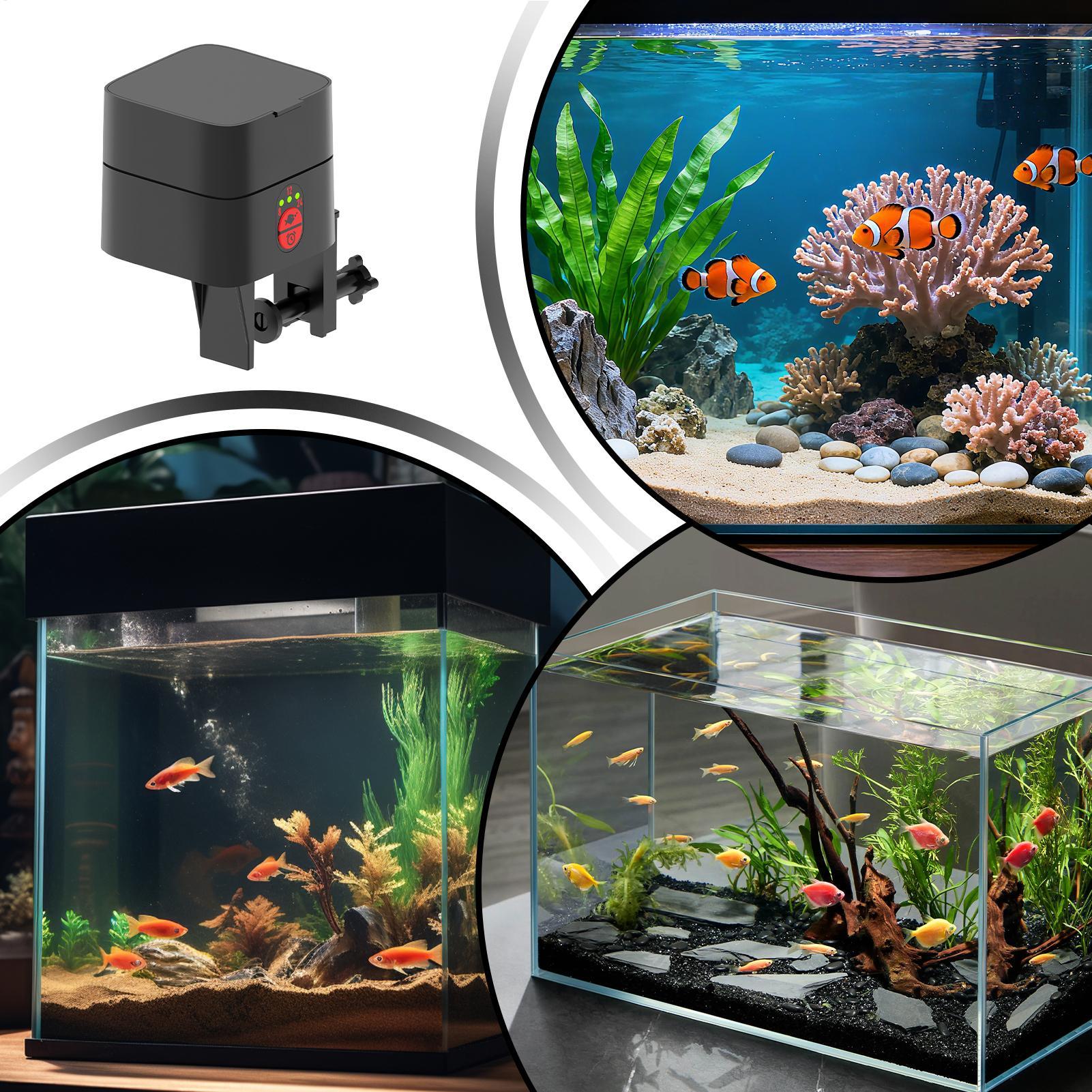 Aquarium Fish Auto Feeder - เครื่องให้อาหารปลาอัตโนมัติ สถานีให้อาหารขนาดเล็กแบบชาร์จไฟได้อัตโนมัติ เครื่องให้อาหารปลาอัตโนมัติสำหรับตู้ปลา บ่อ ชาม สำหรับสัตว์น้ำและสัตว์เลื้อยคลาน