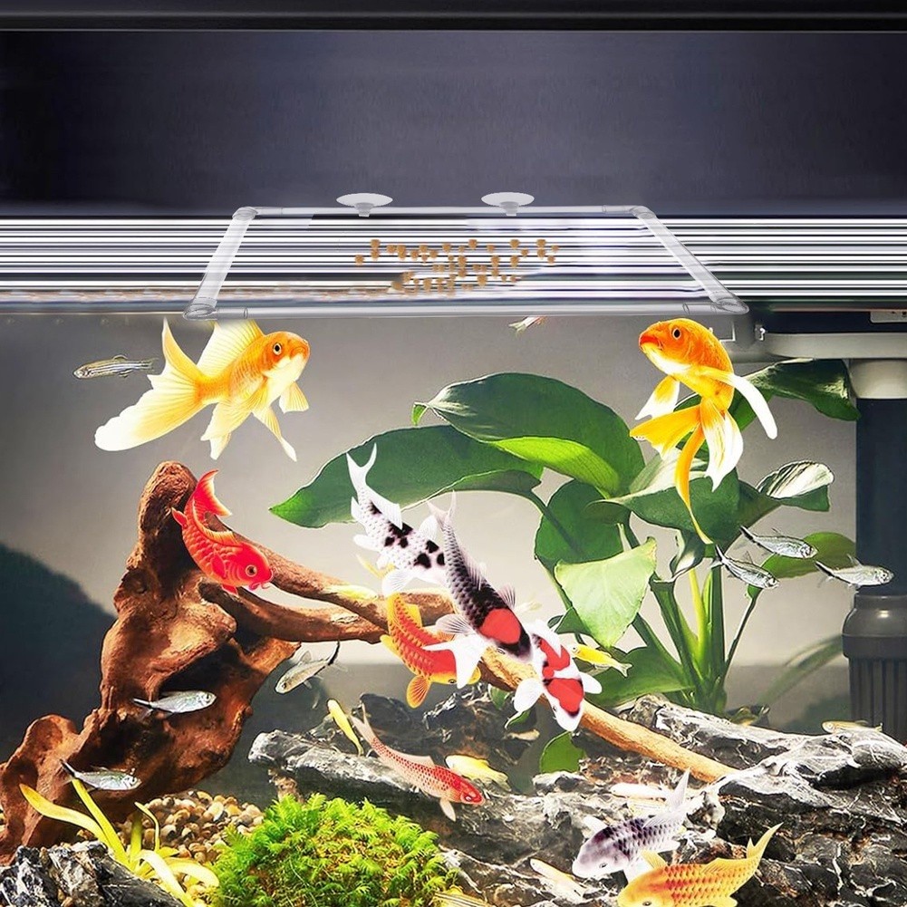 Aquarium Fish Zone - กระถางปลูกพืชน้ำแบบลอยน้ำสำหรับตู้ปลาอะคริลิกและบ่อปลาภายนอก เพื่อเก็บรักษาพืชน้ำแบบลอยน้ำและสร้างพื้นที่ให้อาหาร