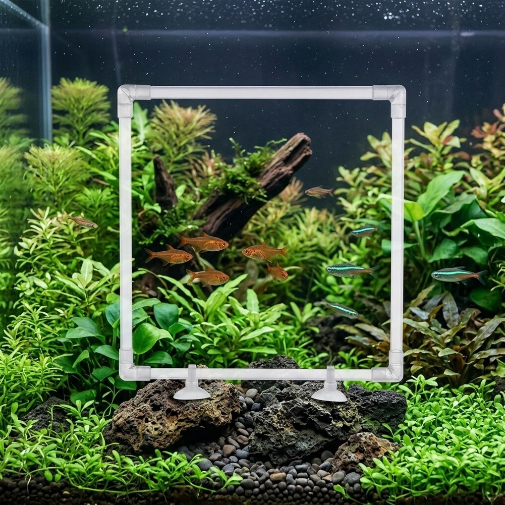 Aquarium Fish Zone - กระถางปลูกพืชน้ำแบบลอยน้ำสำหรับตู้ปลาอะคริลิกและบ่อปลาภายนอก เพื่อเก็บรักษาพืชน้ำแบบลอยน้ำและสร้างพื้นที่ให้อาหาร