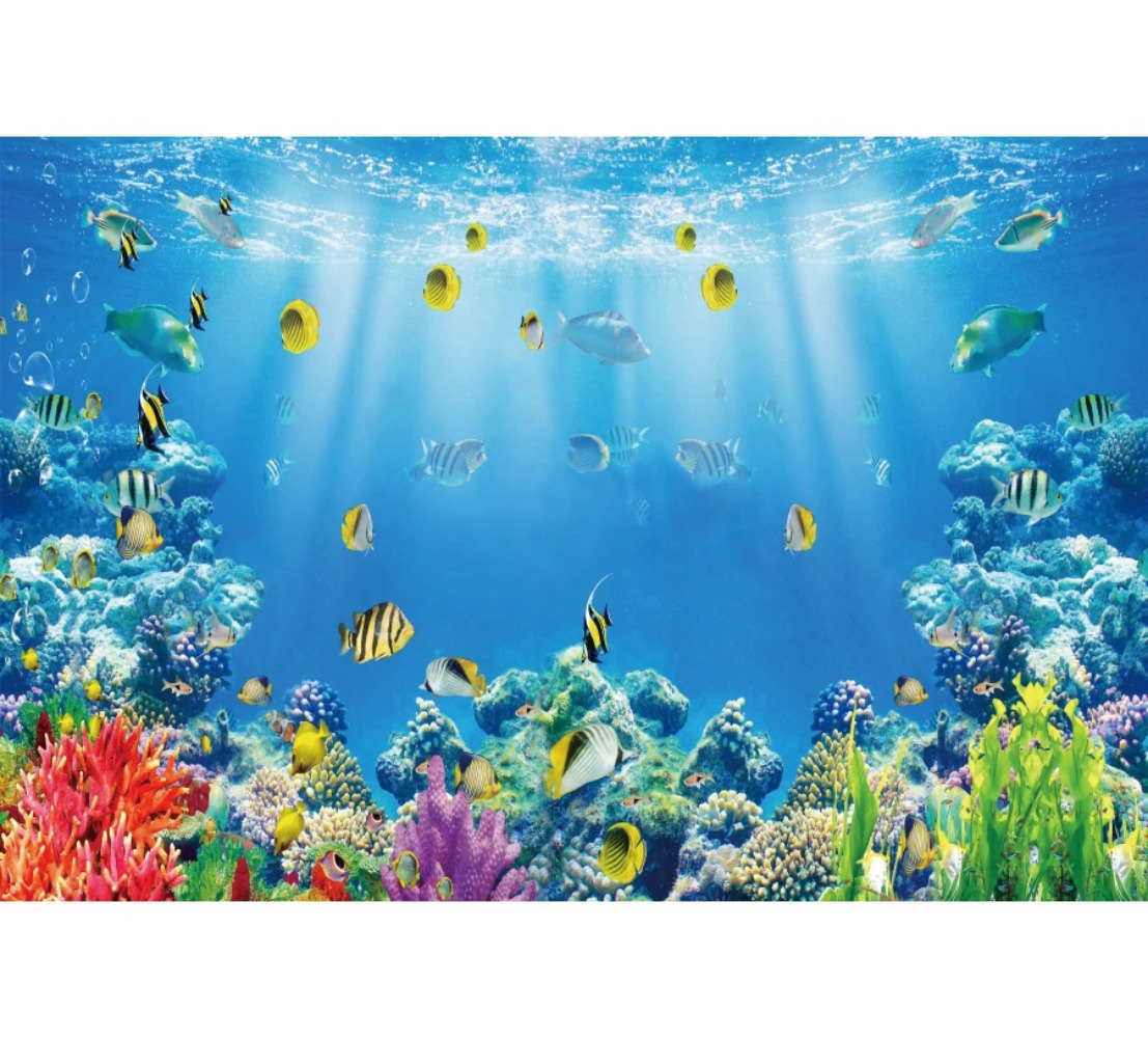 ฉากหลังถ่ายภาพธีมโลกใต้น้ำ ปลา - Aquarium Fish World บทวิจารณ์และราคา