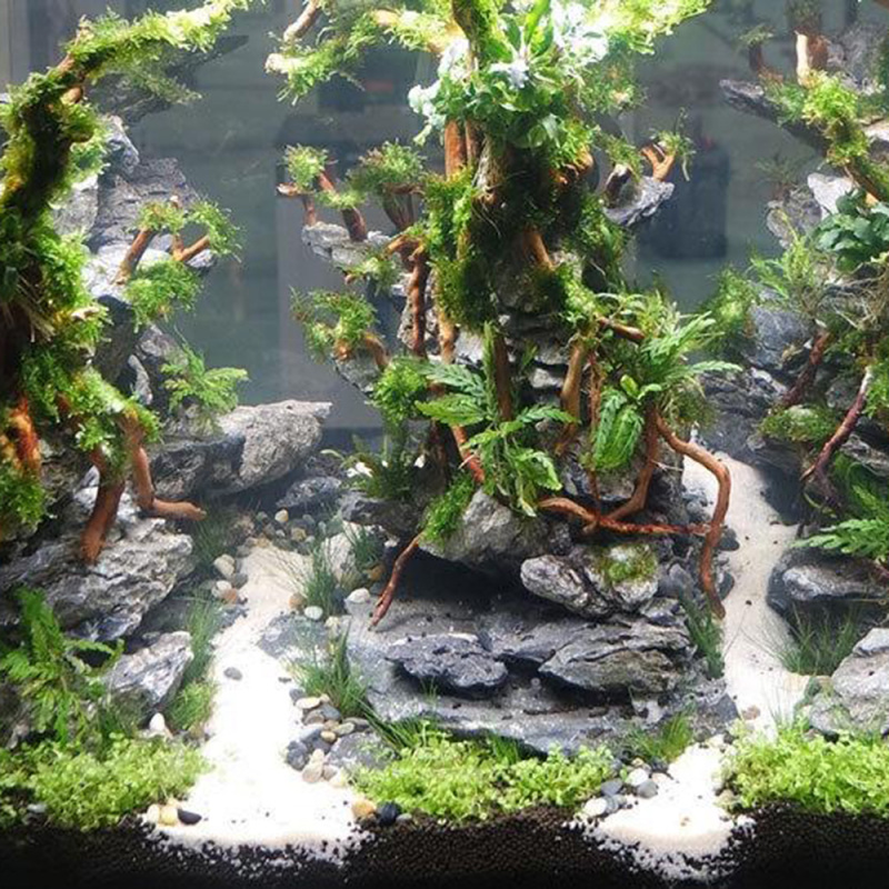 ต้นไม้รากไม้ลอยน้ำธรรมชาติสำหร - Aquarium Fish Artificial บทวิจารณ์และราคา