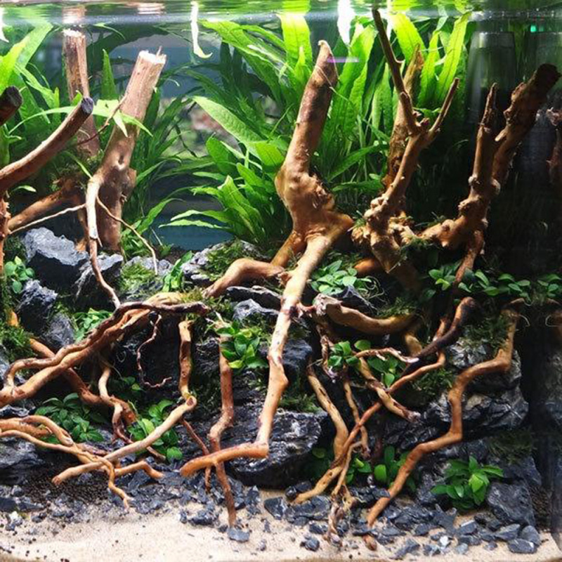 ต้นไม้รากไม้ลอยน้ำธรรมชาติสำหร - Aquarium Fish Artificial บทวิจารณ์และราคา