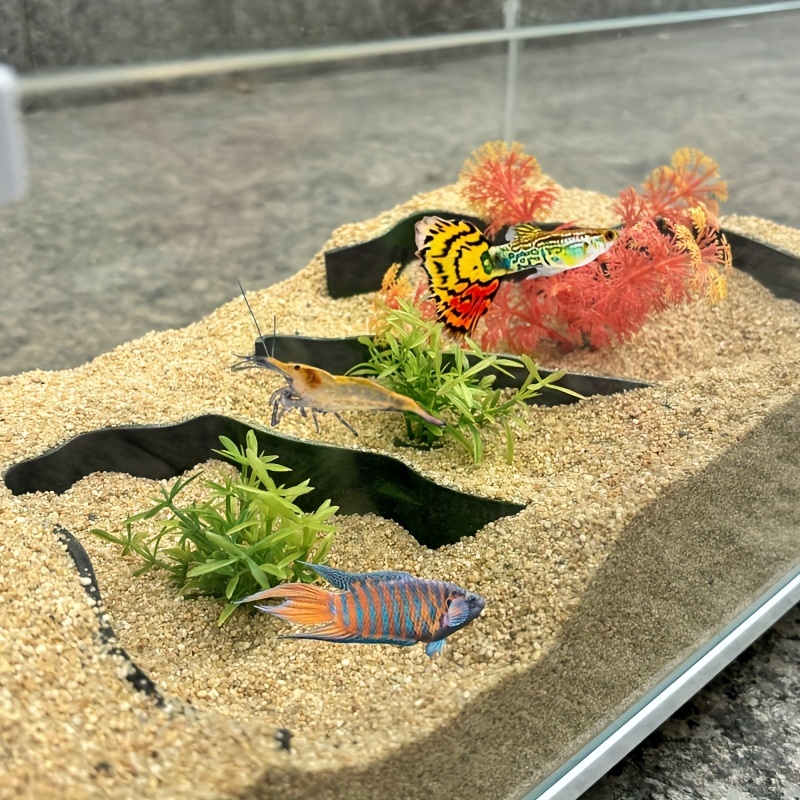 ผนังแยกตู้ปลา3ชิ้น | สร้างเขตผ - Aquarium Fish Zone บทวิจารณ์และราคา