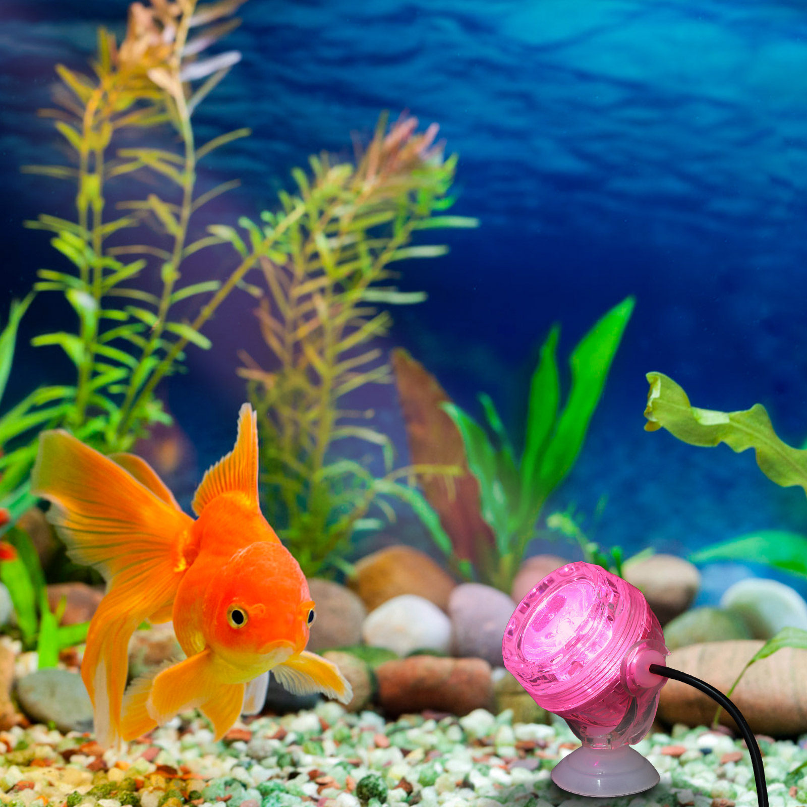 ไฟ LED สำหรับตู้ปลา กันน้ำ เปล - Aquarium Fish Rainbow บทวิจารณ์และราคา