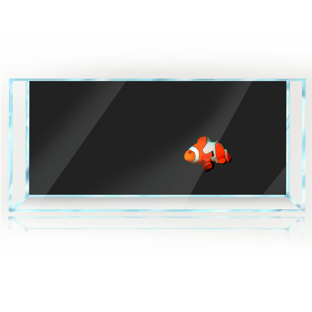 ถังปลาพื้นหลังสีขาวสีเหลืองสีเ - Aquarium Fish Yellow And Black บทวิจารณ์และราคา