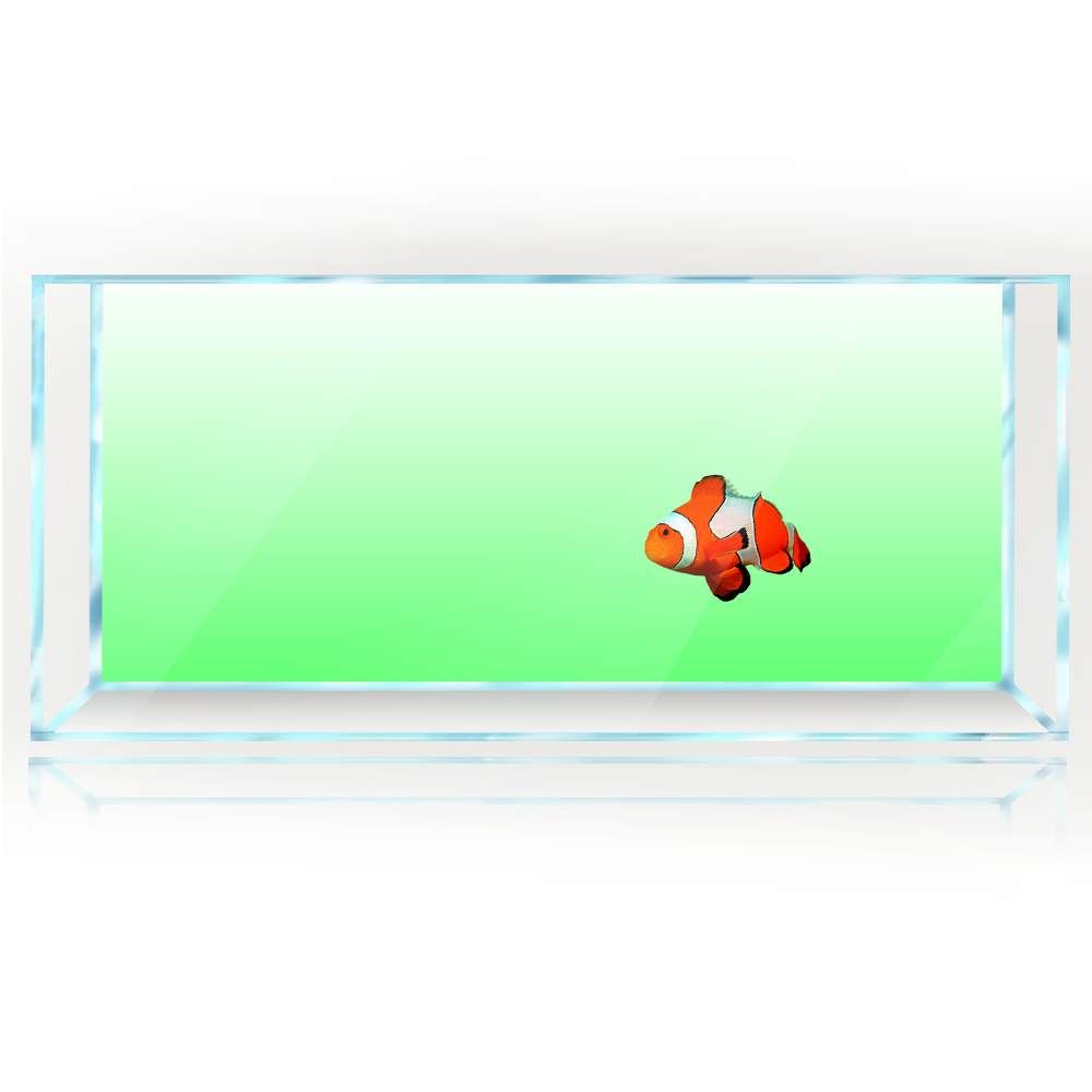 ถังปลาพื้นหลังสีขาวสีเหลืองสีเ - Aquarium Fish Yellow And Black บทวิจารณ์และราคา
