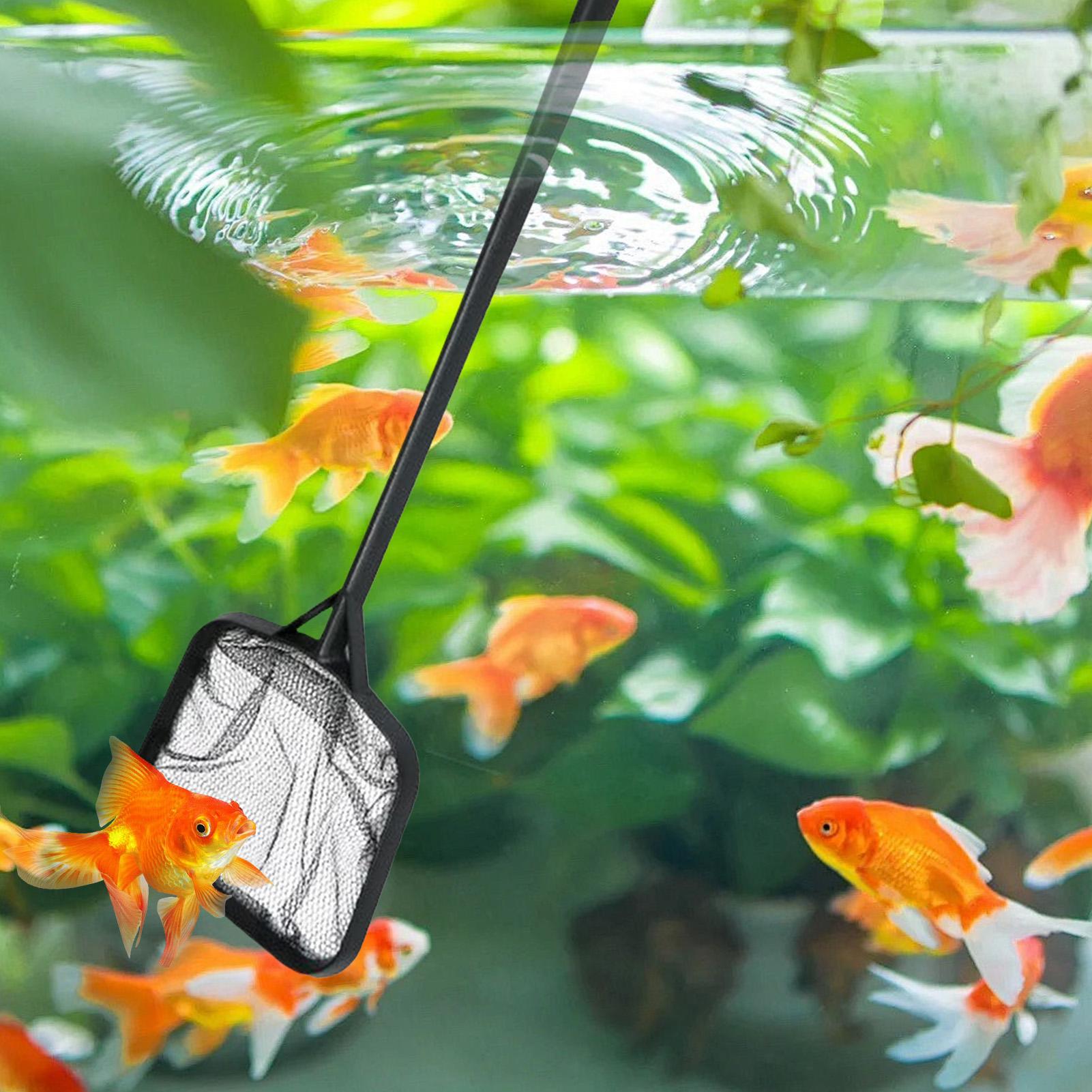 ตาข่ายทำความสะอาดสระว่ายน้ำแบบ - Aquarium Fish Real บทวิจารณ์และราคา