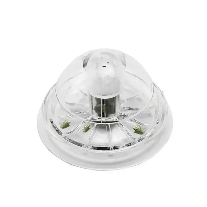 กับดักหอยทากพลาสติกใสขนาด 6/8  - Aquarium Fish Real บทวิจารณ์และราคา