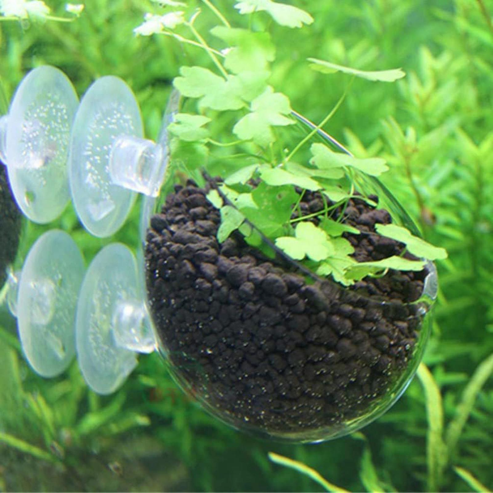 ที่วางต้นไม้ในตู้ปลา กระถางแก้ - Aquarium Fish Only บทวิจารณ์และราคา