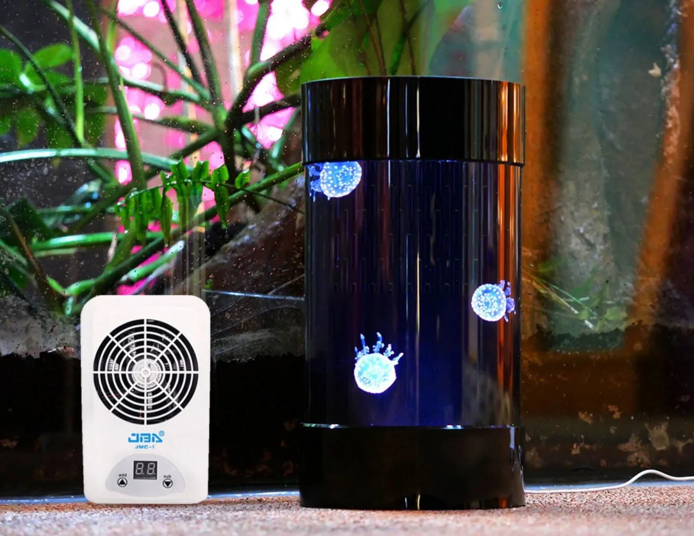 ตู้แมงกะพรุนทรงกระบอกตกแต่งบ้า - Aquarium Fish In Amazon บทวิจารณ์และราคา