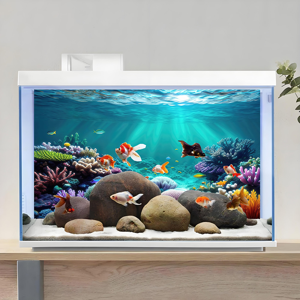ฉากหลังสำหรับตู้ปลา, ฉากหลังสำ - Aquarium Fish Rainbow บทวิจารณ์และราคา