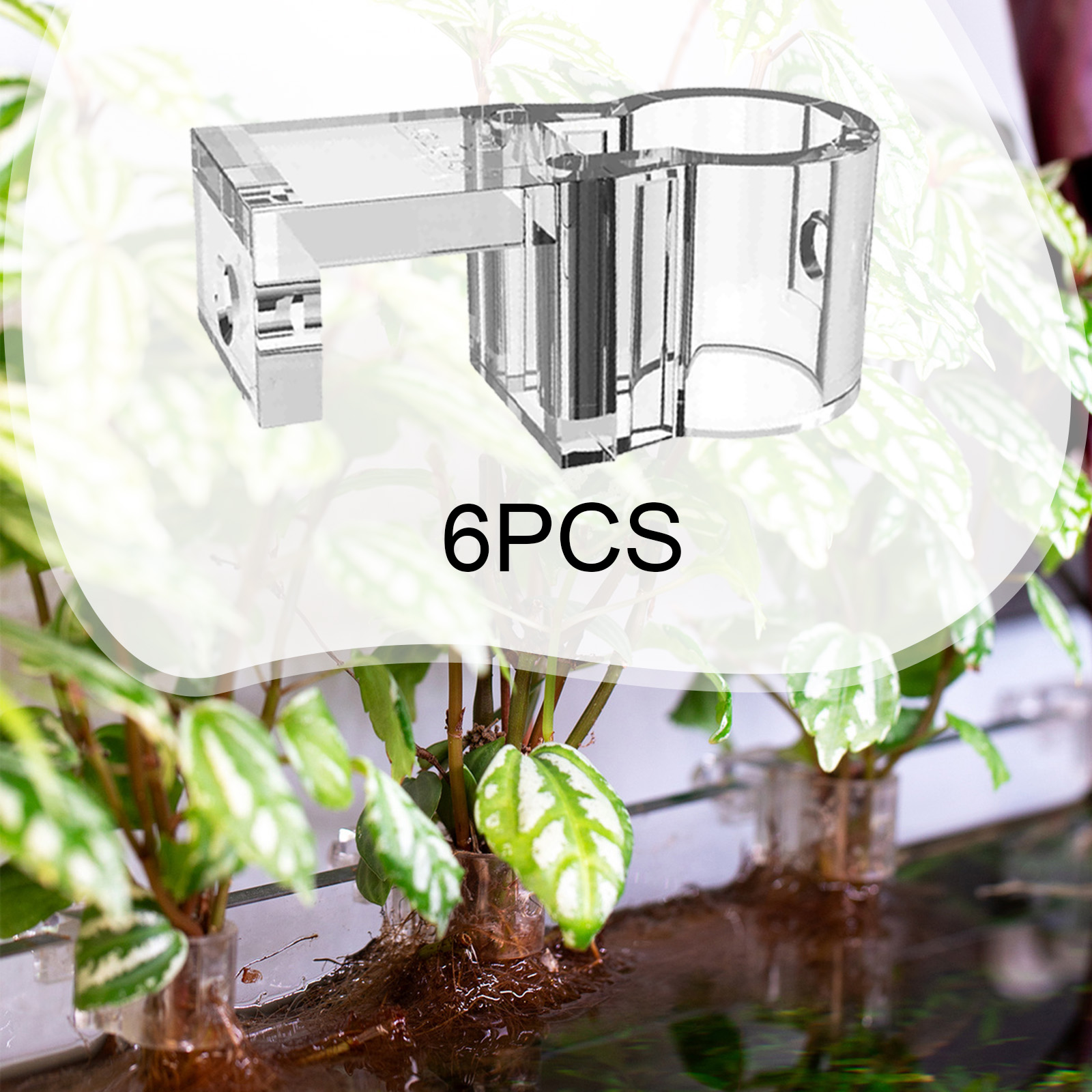 ที่วางต้นไม้ในตู้ปลา 6 ชิ้น ถ้ - Aquarium Fish Auto Feeder บทวิจารณ์และราคา