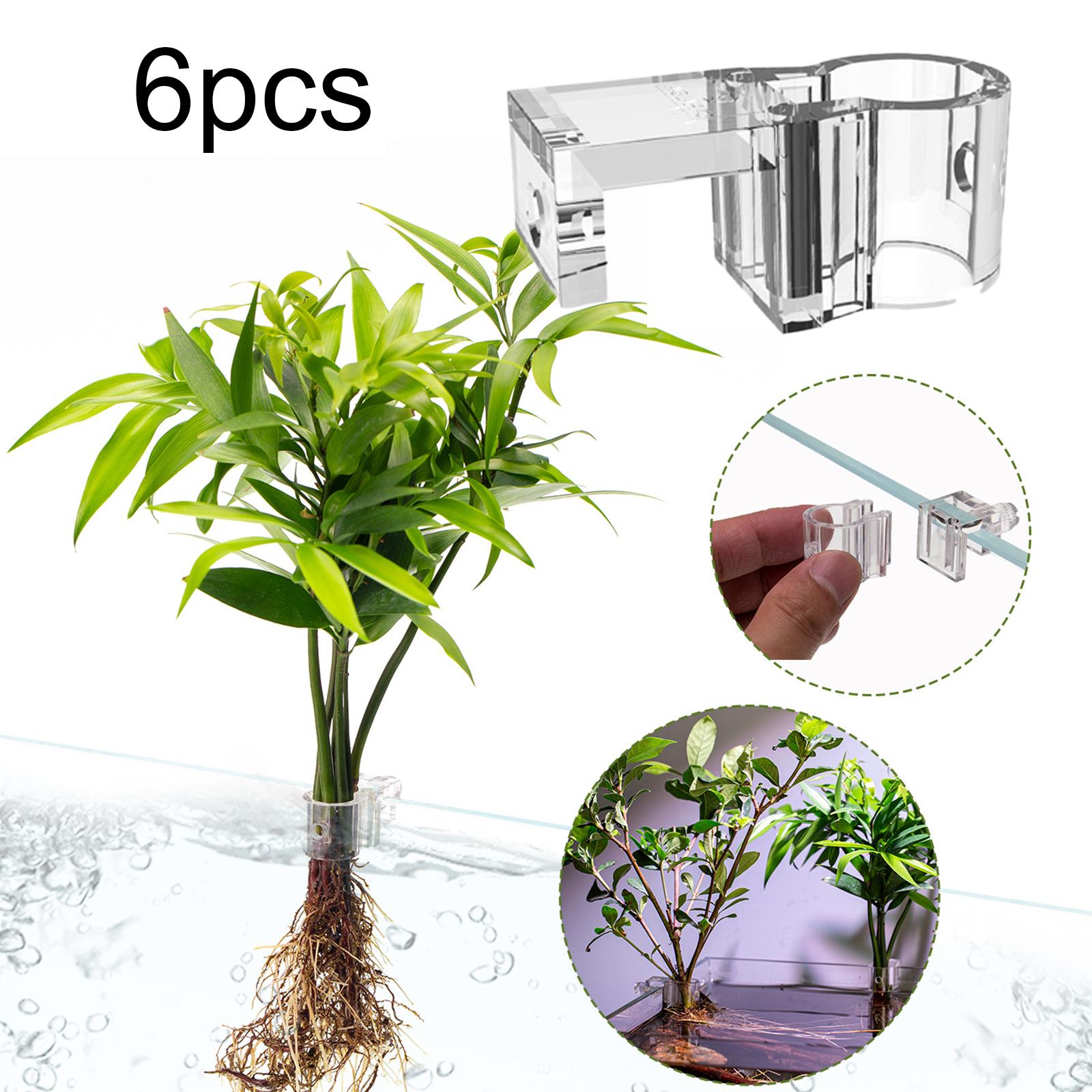 ที่วางต้นไม้ในตู้ปลา 6 ชิ้น ถ้ - Aquarium Fish Auto Feeder บทวิจารณ์และราคา