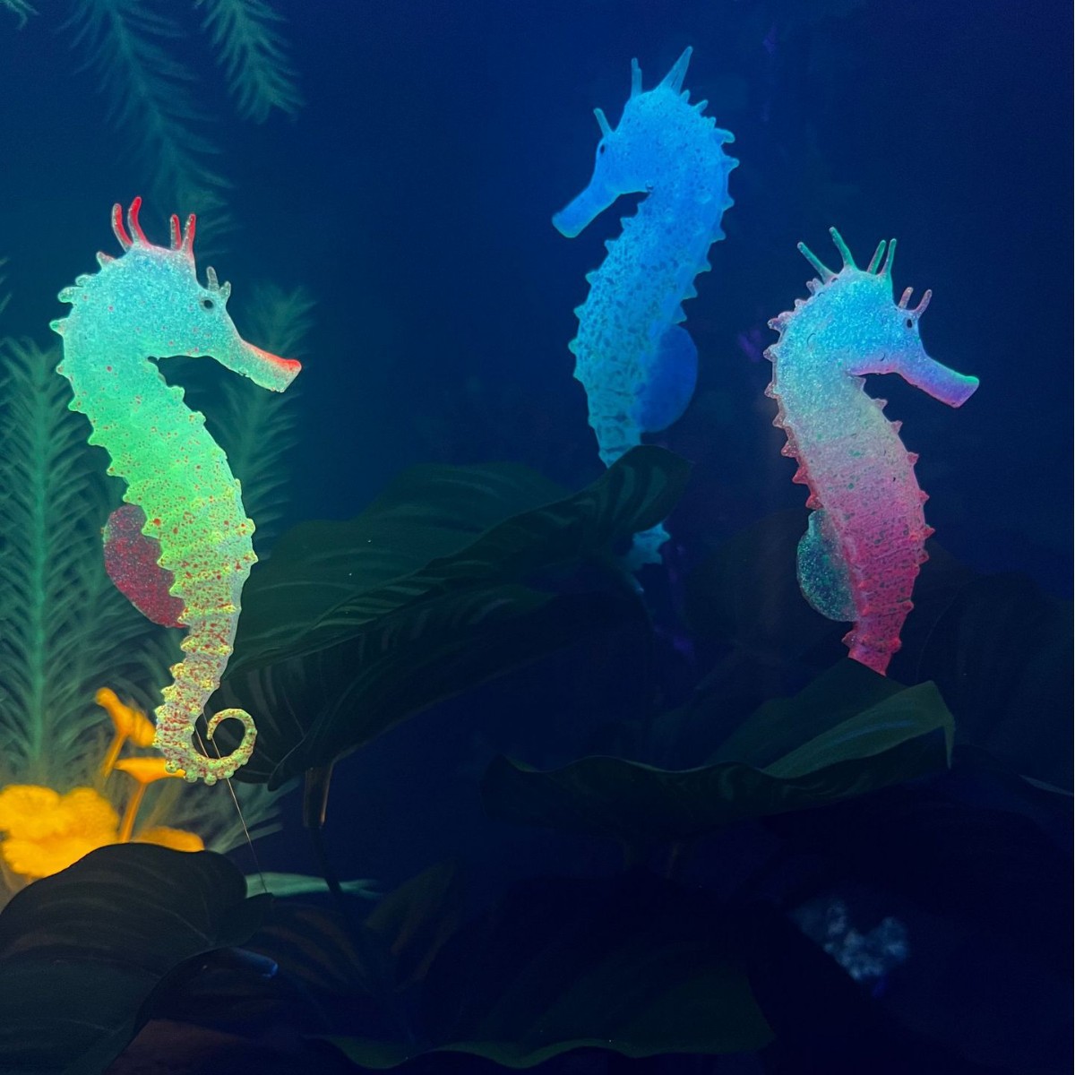 ของตกแต่งตู้ปลาจำลองรูปม้าน้ำเ - Aquarium Fish Artificial บทวิจารณ์และราคา