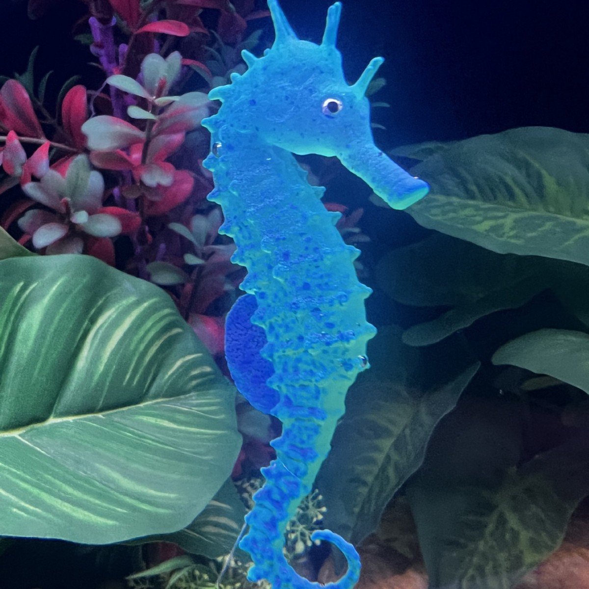 ของตกแต่งตู้ปลาจำลองรูปม้าน้ำเ - Aquarium Fish Artificial บทวิจารณ์และราคา