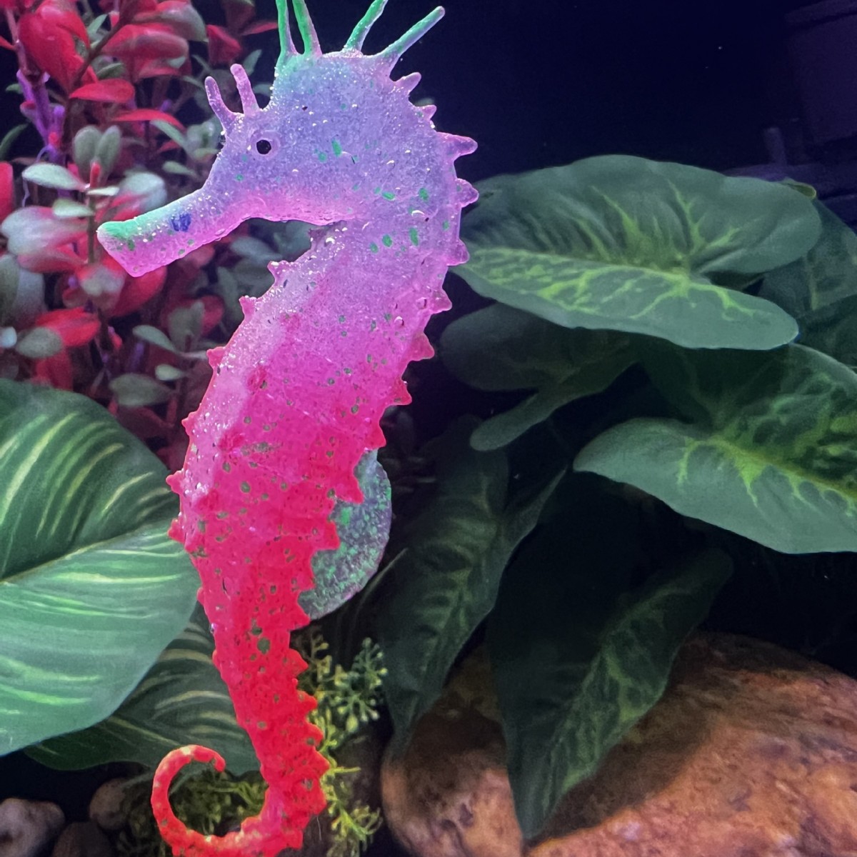 ของตกแต่งตู้ปลาจำลองรูปม้าน้ำเ - Aquarium Fish Artificial บทวิจารณ์และราคา