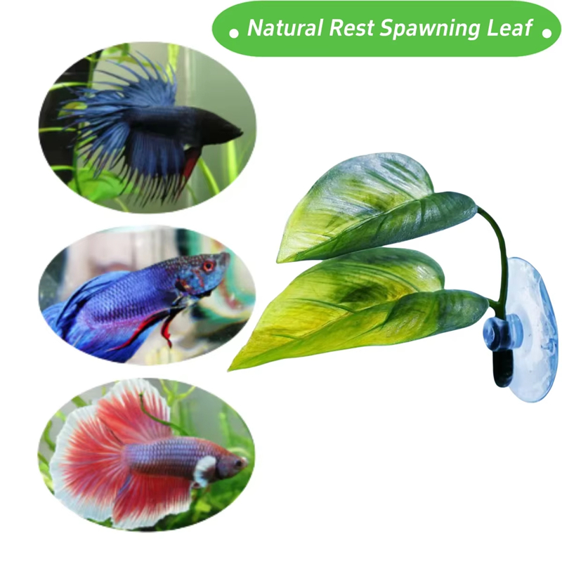 อุปกรณ์ตกแต่งตู้ปลา พืชน้ำเทีย - Aquarium Fish Artificial บทวิจารณ์และราคา