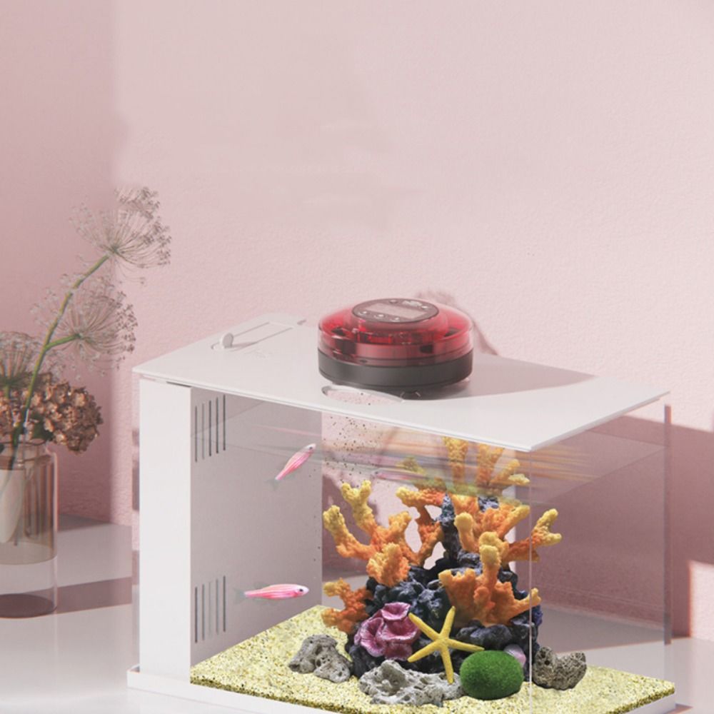 เครื่องให้อาหารปลาอัตโนมัติพร้ - Aquarium Fish Auto Feeder บทวิจารณ์และราคา