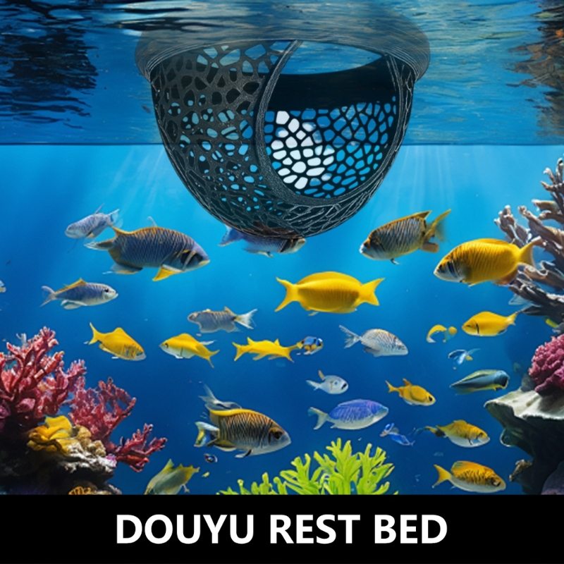 เปลญวนเพาะพันธุ์ปลา Bettas ปลอ - Aquarium Fish Zone บทวิจารณ์และราคา
