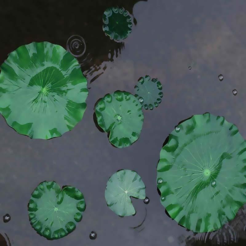ใบบัวประดิษฐ์ ปี 2026 สำหรับตก - Aquarium Fish Artificial บทวิจารณ์และราคา