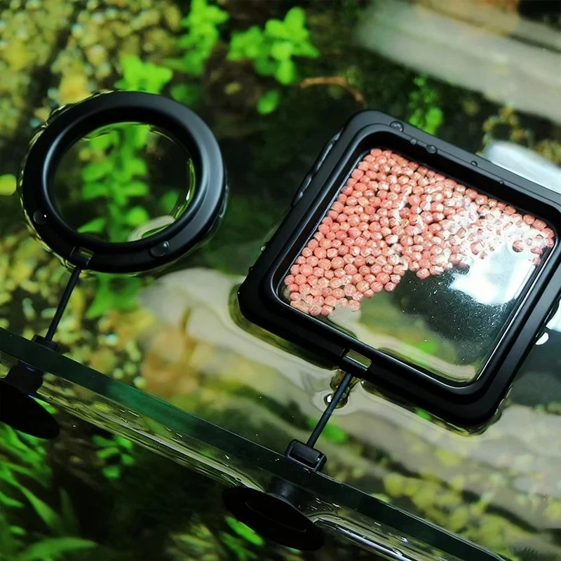 1/3 ชิ้น วงแหวนให้อาหารปลาในตู - Aquarium Fish Auto Feeder บทวิจารณ์และราคา