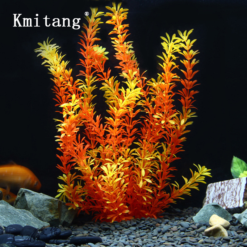 ต้นไม้เขตร้อนขนาด 100 ซม. หญ้า - Aquarium Fish Real บทวิจารณ์และราคา