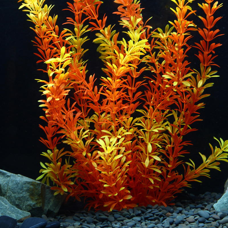 ต้นไม้เขตร้อนขนาด 100 ซม. หญ้า - Aquarium Fish Real บทวิจารณ์และราคา