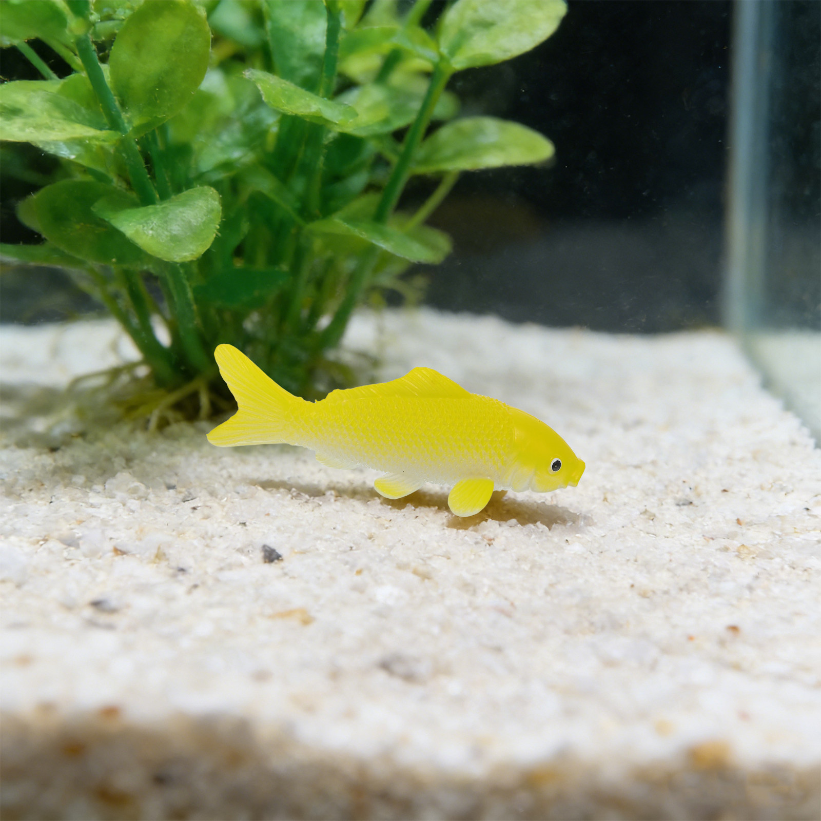 ของเล่นปลาประดิษฐ์ 3 ชิ้น รูปป - Aquarium Fish Artificial บทวิจารณ์และราคา