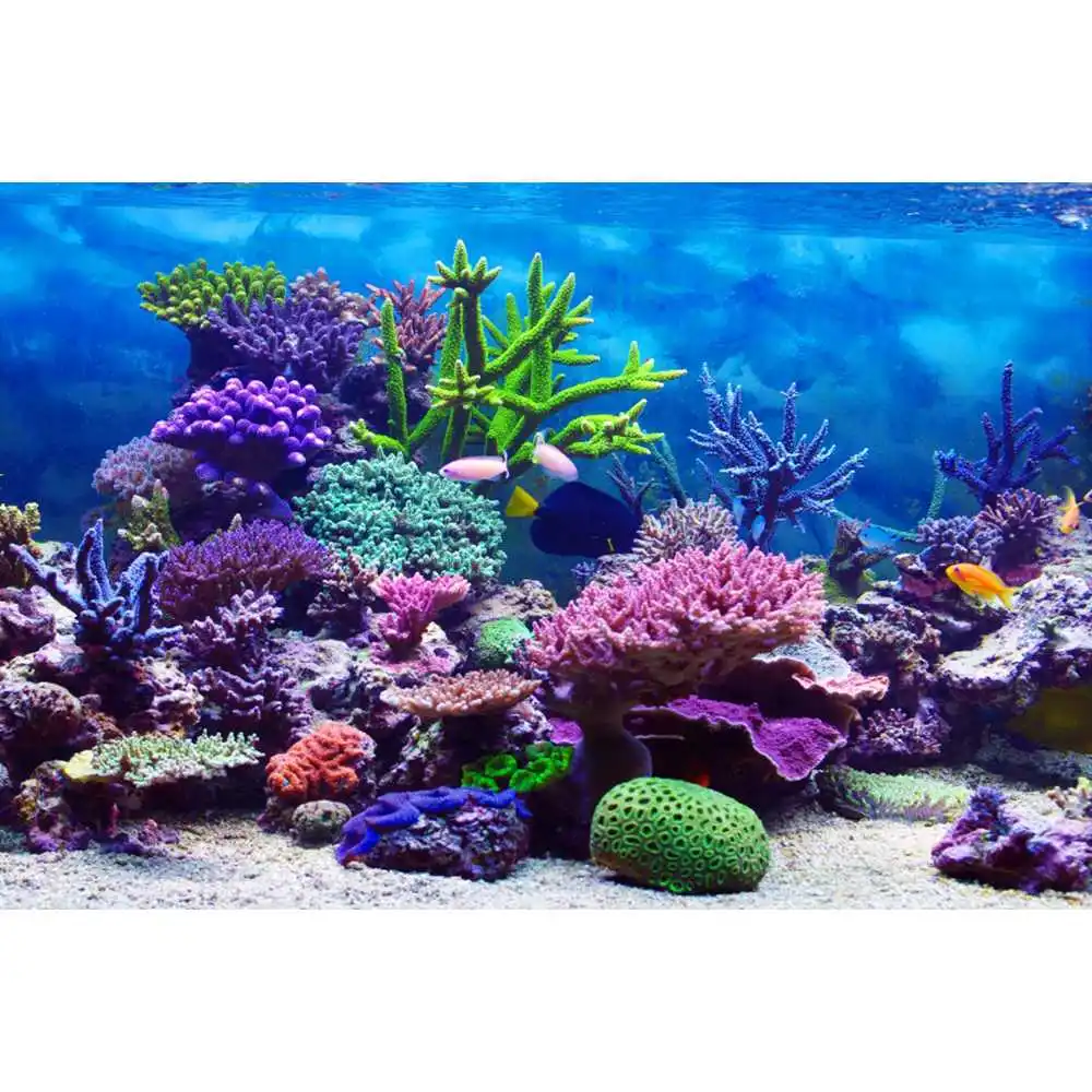 ฉากหลังโลกใต้ทะเล พื้นทะเล มหา - Aquarium Fish World บทวิจารณ์และราคา