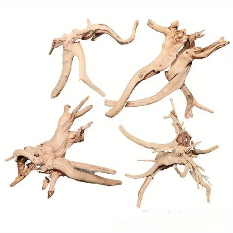 1/2PCS ธรรมชาติ Rhododendron R - Aquarium Fish Real บทวิจารณ์และราคา