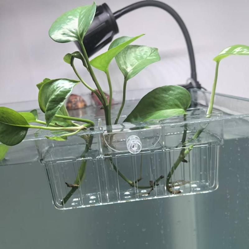 ตะกร้าปลูกพืชไฮโดรโพนิก เกรดอา - Aquarium Fish Home บทวิจารณ์และราคา