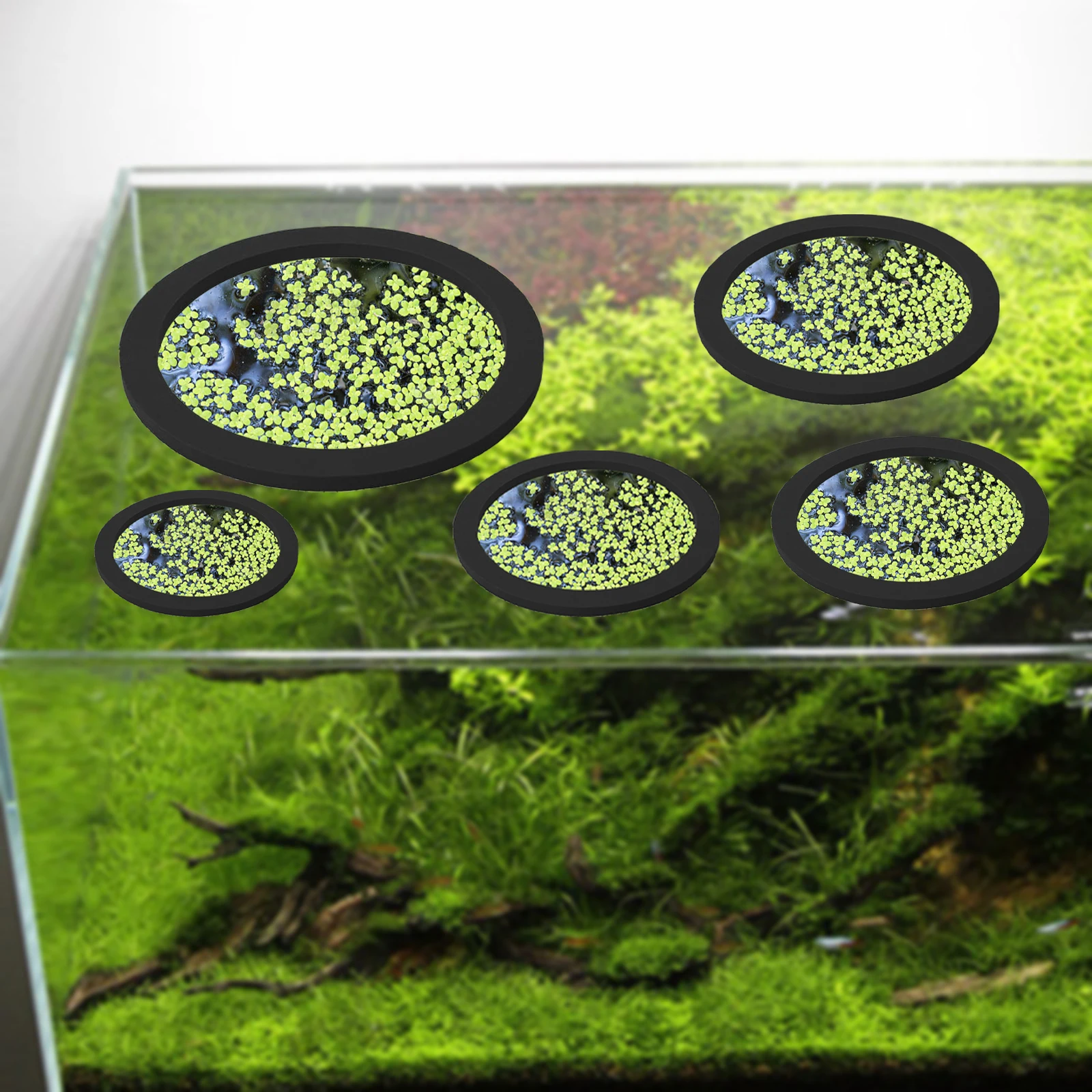 5 ชิ้น EVA ปลา Feeding แหวน Aq - Aquarium Fishing บทวิจารณ์และราคา
