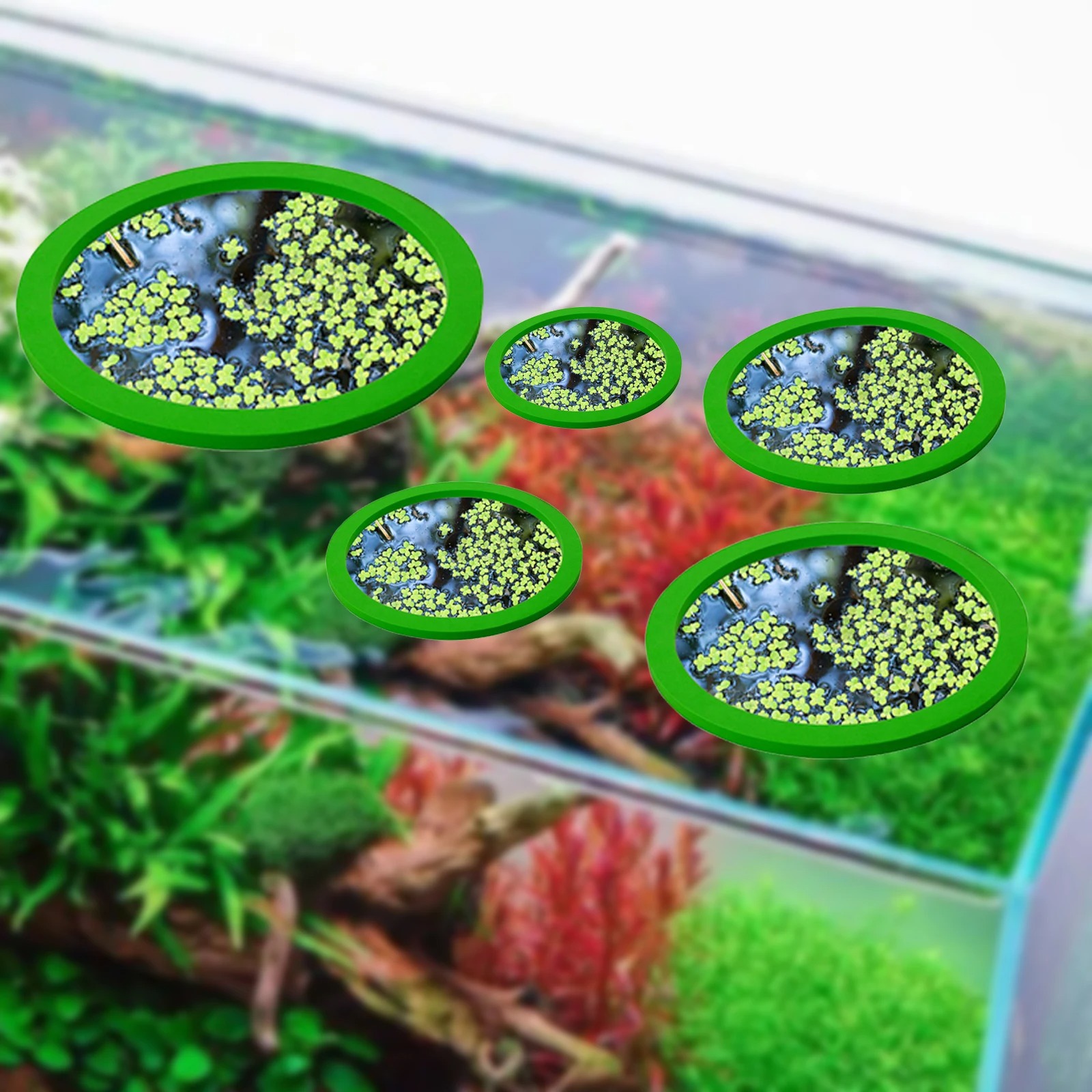 5 ชิ้น EVA ปลา Feeding แหวน Aq - Aquarium Fishing บทวิจารณ์และราคา