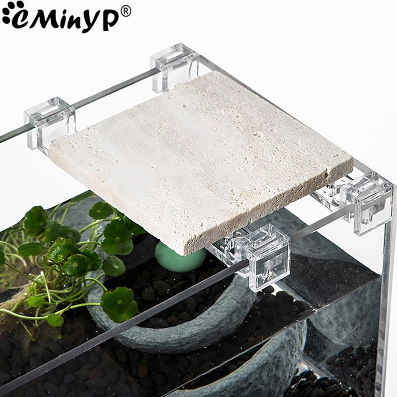 4 ชิ้นถังปลาคลิปอะคริลิคสําหรั - Aquarium Fish Real บทวิจารณ์และราคา