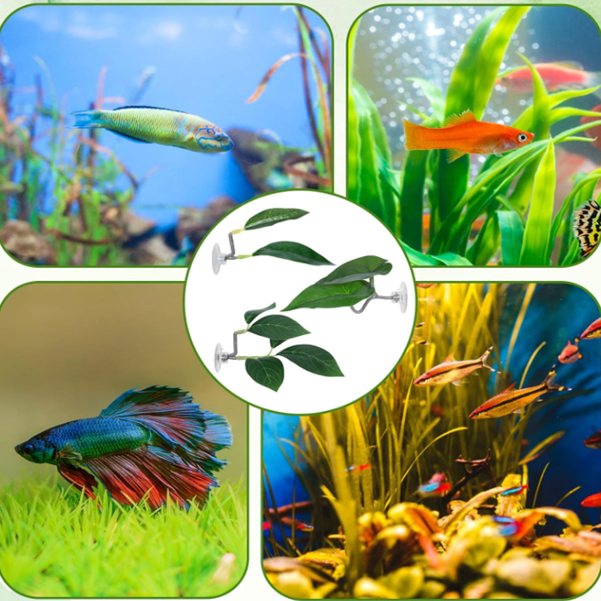 เปลปลาเบตต้า 1 ชิ้น ของตกแต่งต - Aquarium Fish Only บทวิจารณ์และราคา