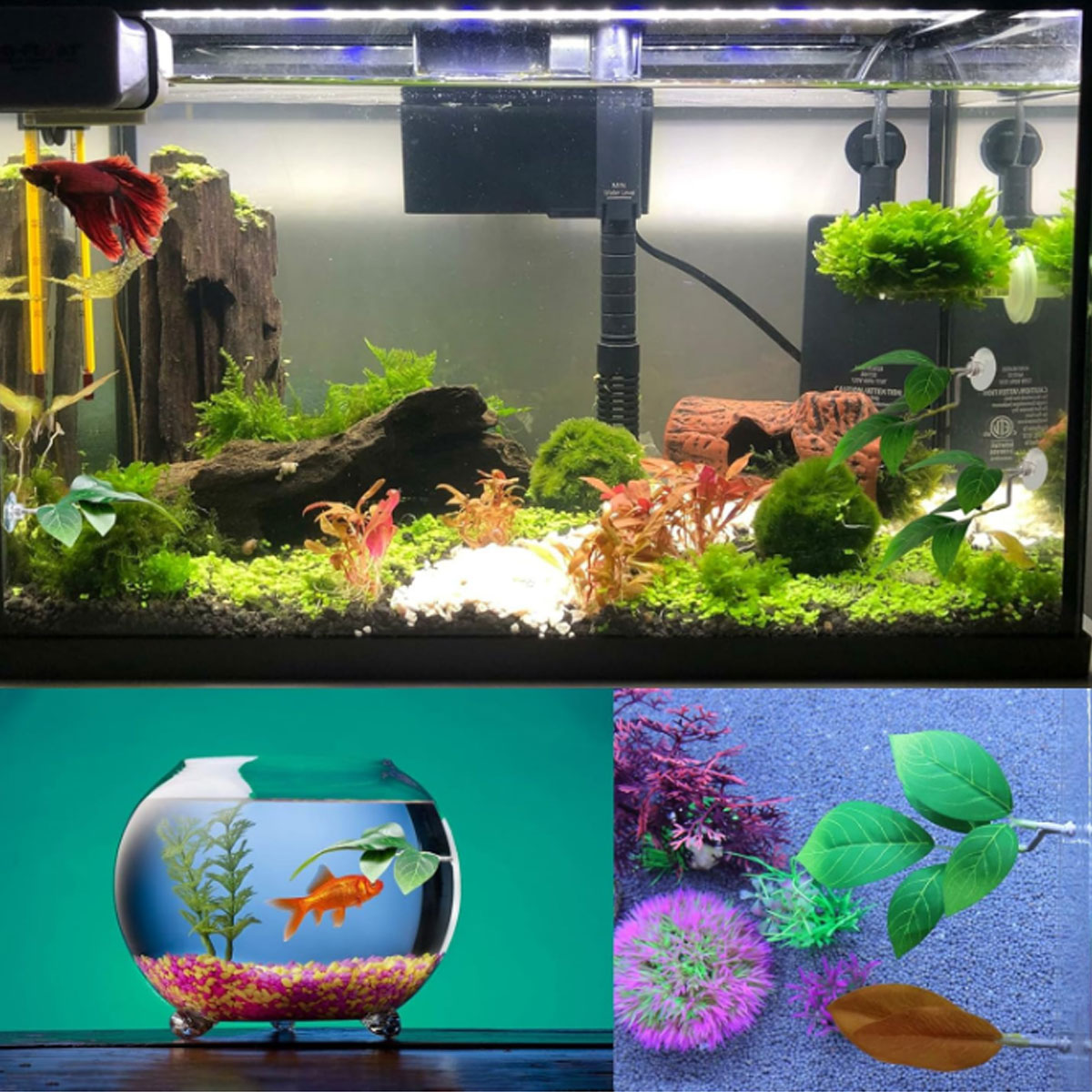 เปลปลาเบตต้า 1 ชิ้น ของตกแต่งต - Aquarium Fish Only บทวิจารณ์และราคา