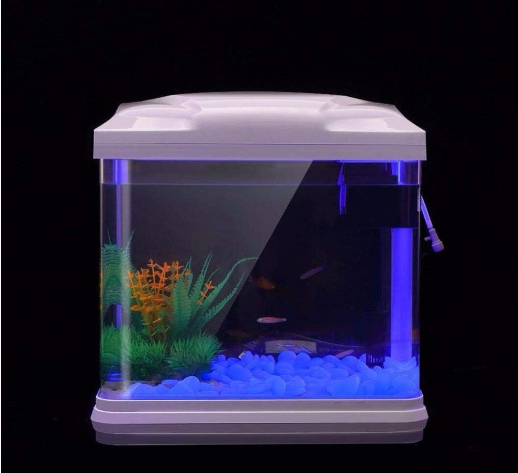 ถังปลา Rocks Glow Blue Pebbles - Aquarium Fishing บทวิจารณ์และราคา