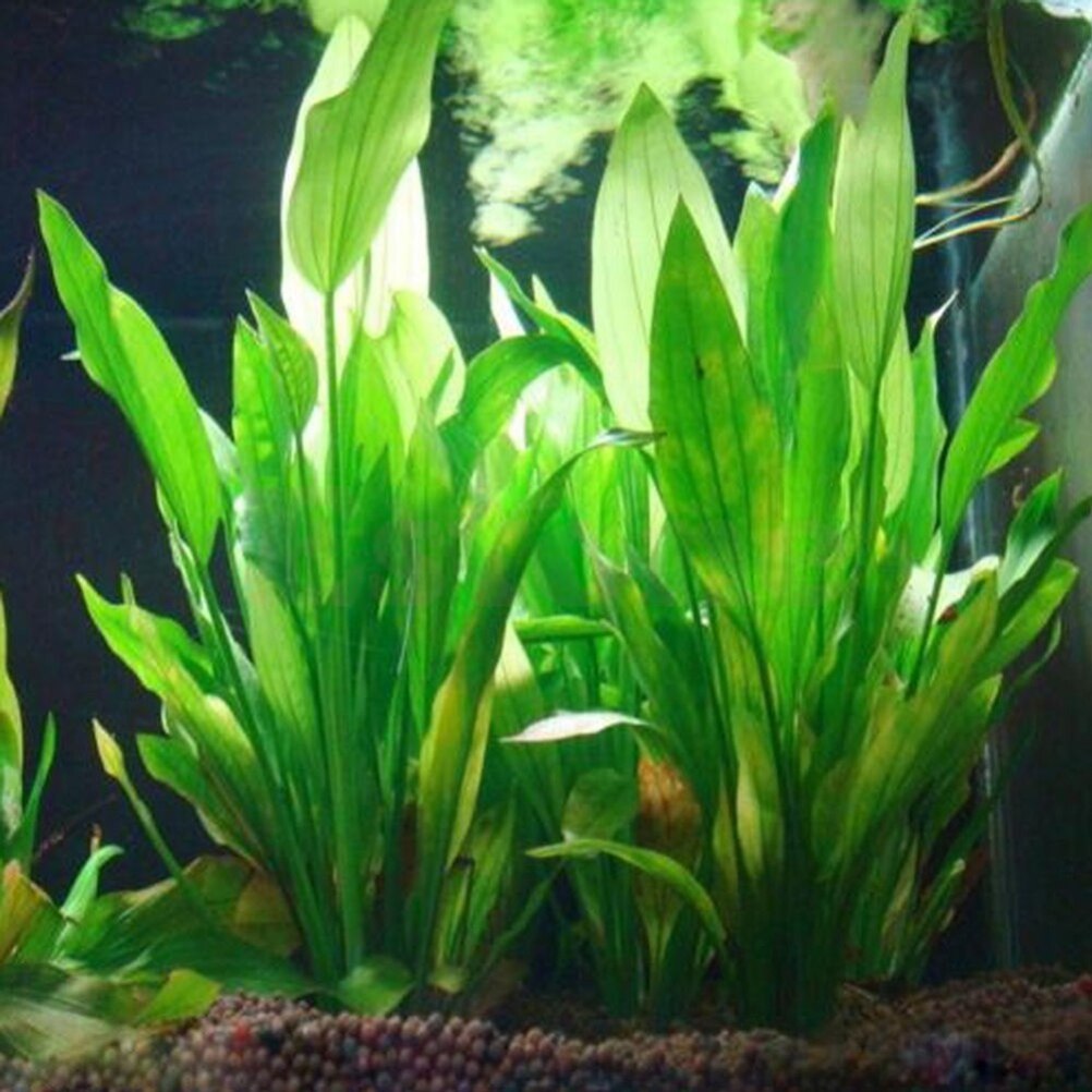 15 ซม.ประดิษฐ์ Aquarium Decor  - Aquarium Fish Artificial บทวิจารณ์และราคา