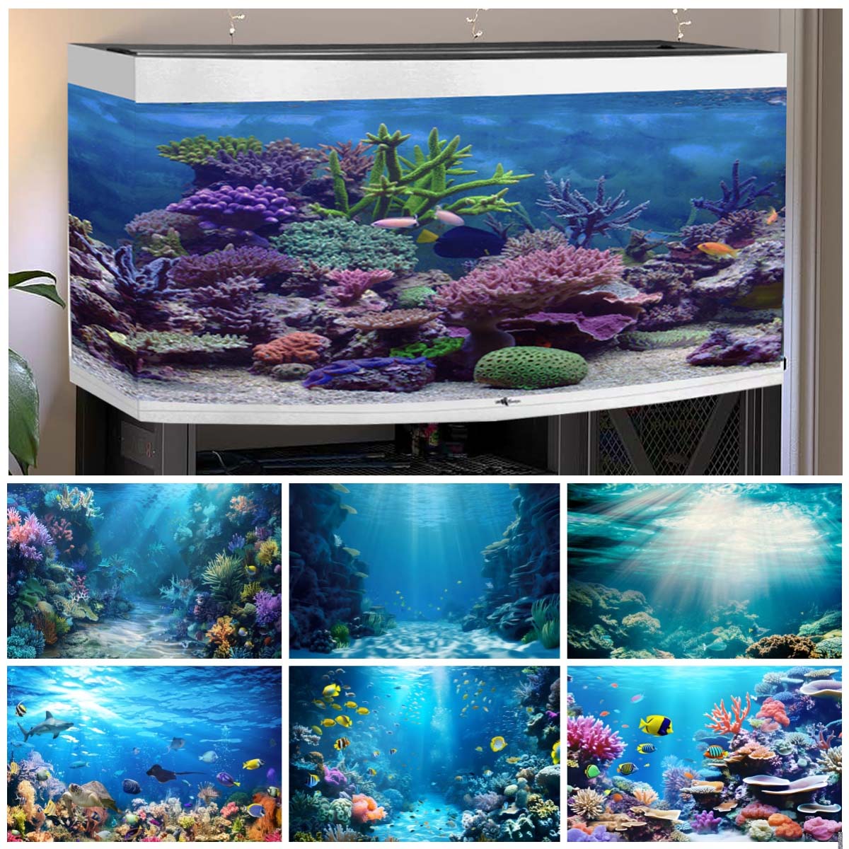 โลกใต้น้ําพื้นหลังสําหรับภาพOc - Aquarium Fish World บทวิจารณ์และราคา