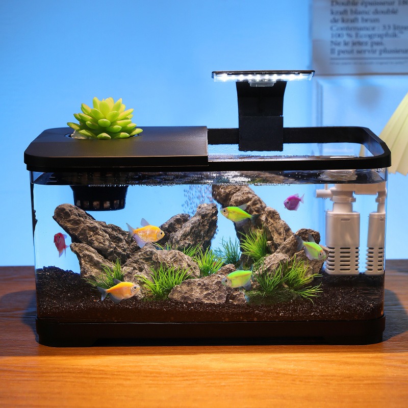 ตู้ปลาตั้งโต๊ะพร้อมระบบกรองน้ำ - Aquarium Fish Home บทวิจารณ์และราคา