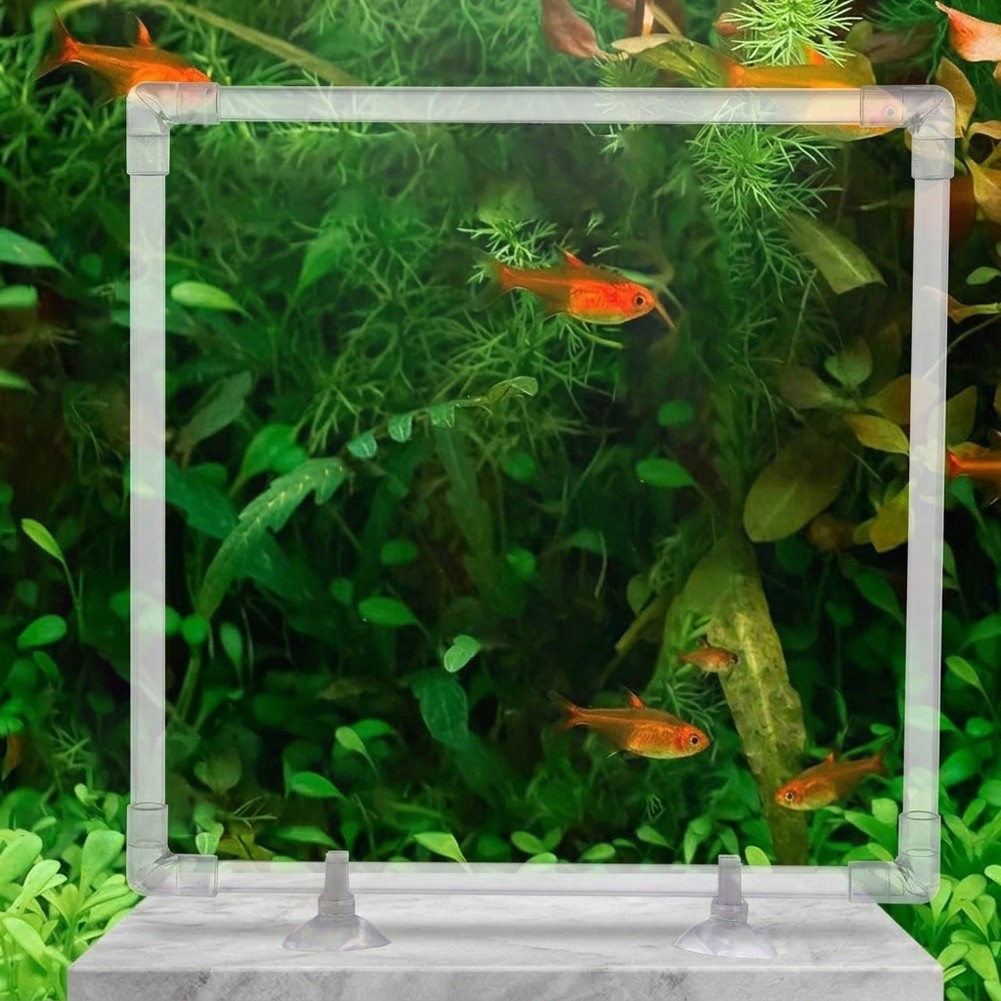 กระถางปลูกพืชน้ำแบบลอยน้ำสำหรั - Aquarium Fish Zone บทวิจารณ์และราคา