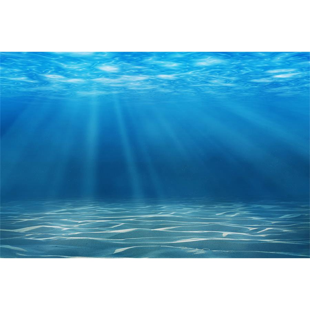 Underwater World ก้นทะเลการถ่า - Aquarium Fish World บทวิจารณ์และราคา
