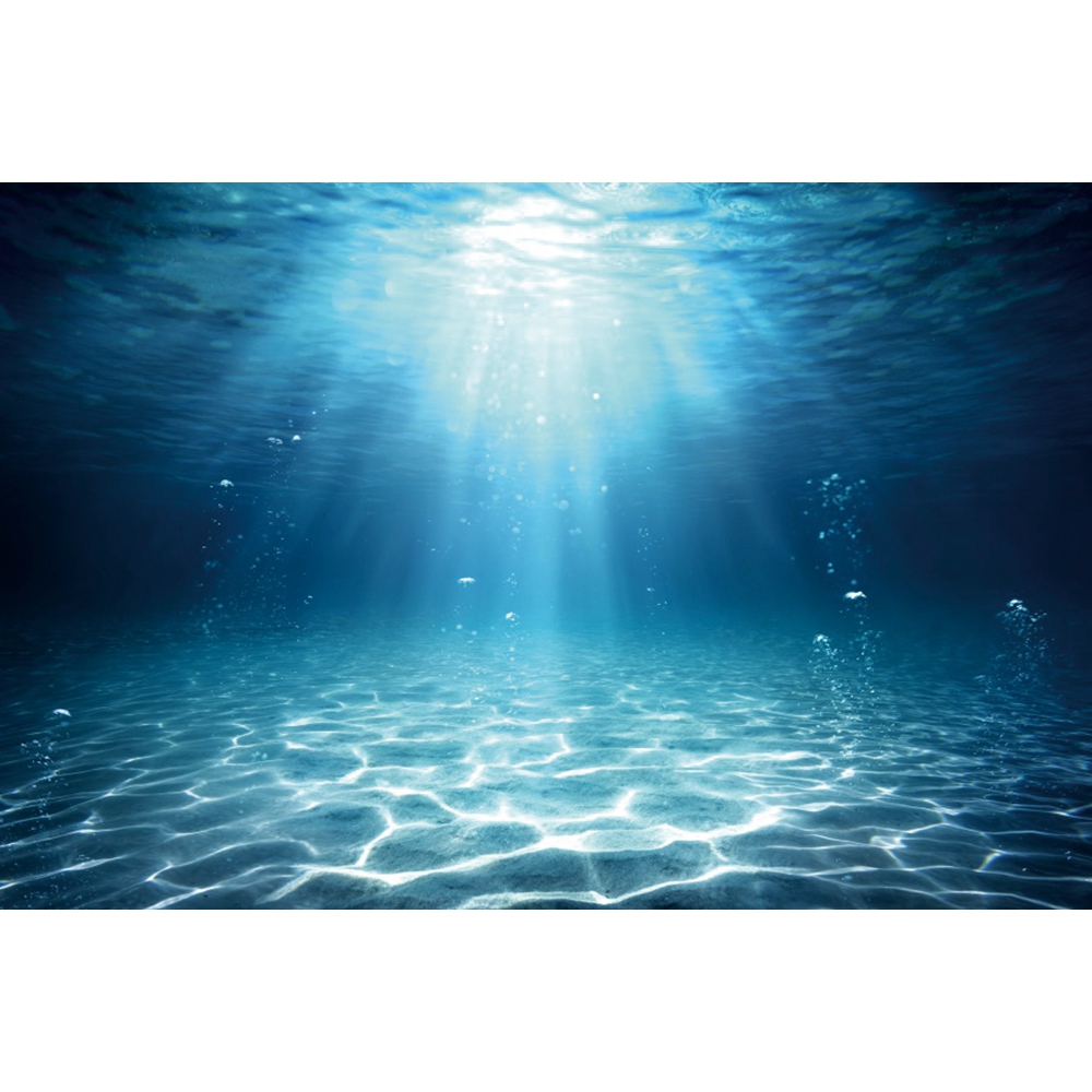 Underwater World ก้นทะเลการถ่า - Aquarium Fish World บทวิจารณ์และราคา
