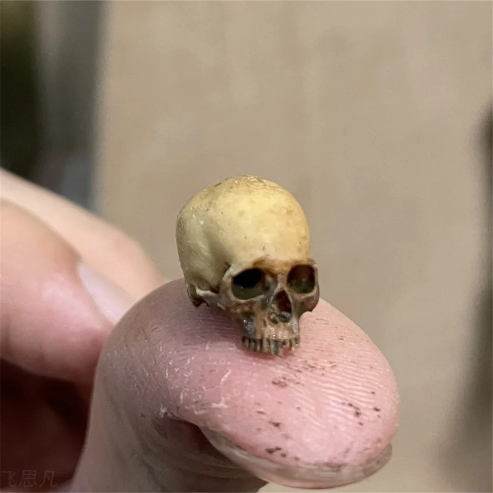 Mini Skull คุณภาพสูง Miniature - Aquarium Fish Only บทวิจารณ์และราคา