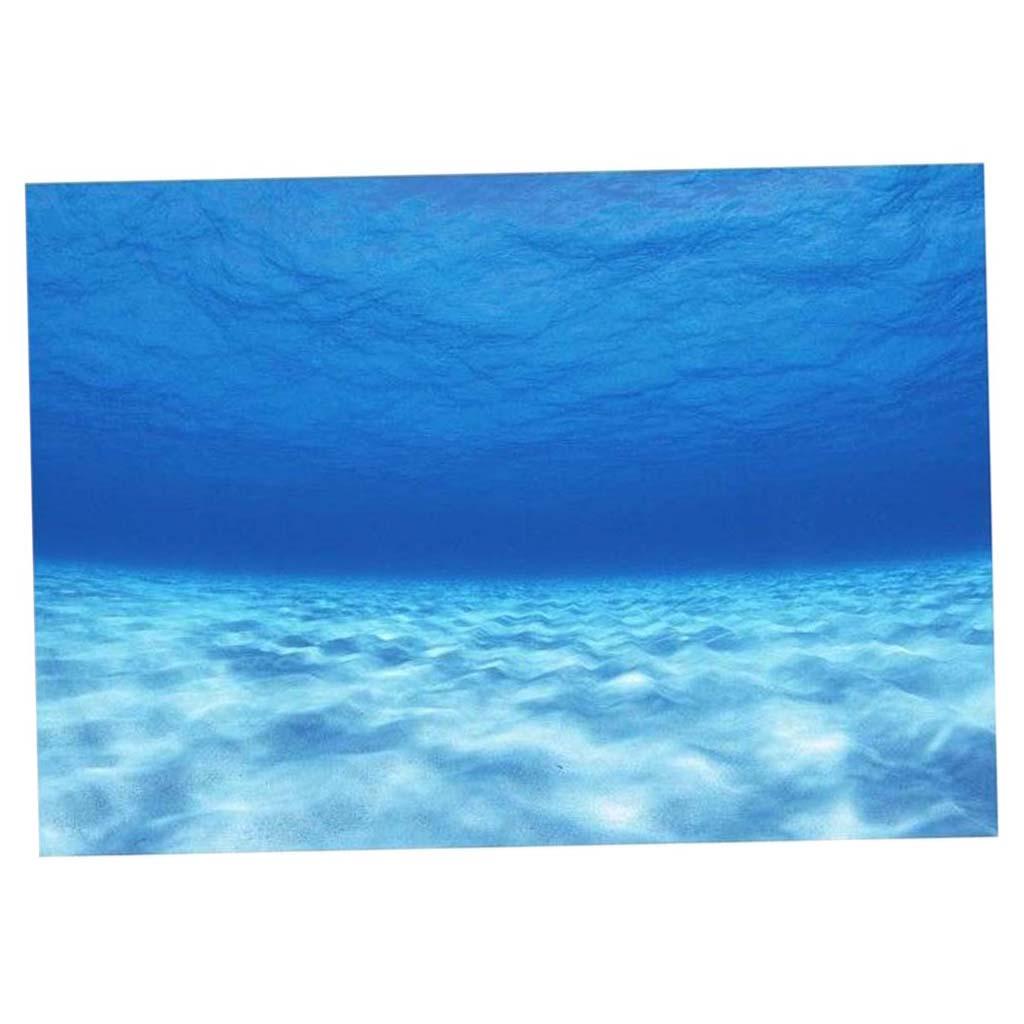 สติ๊กเกอร์ติดผนังตกแต่งตู้ปลา  - Aquarium Fish World บทวิจารณ์และราคา