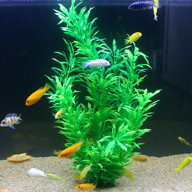 50 ซม.ถังปลาประดิษฐ์พืชหายากAq - Aquarium Fish Real บทวิจารณ์และราคา